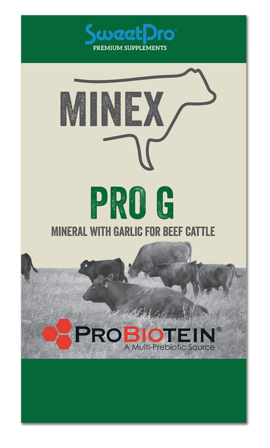 MINEX PRO G