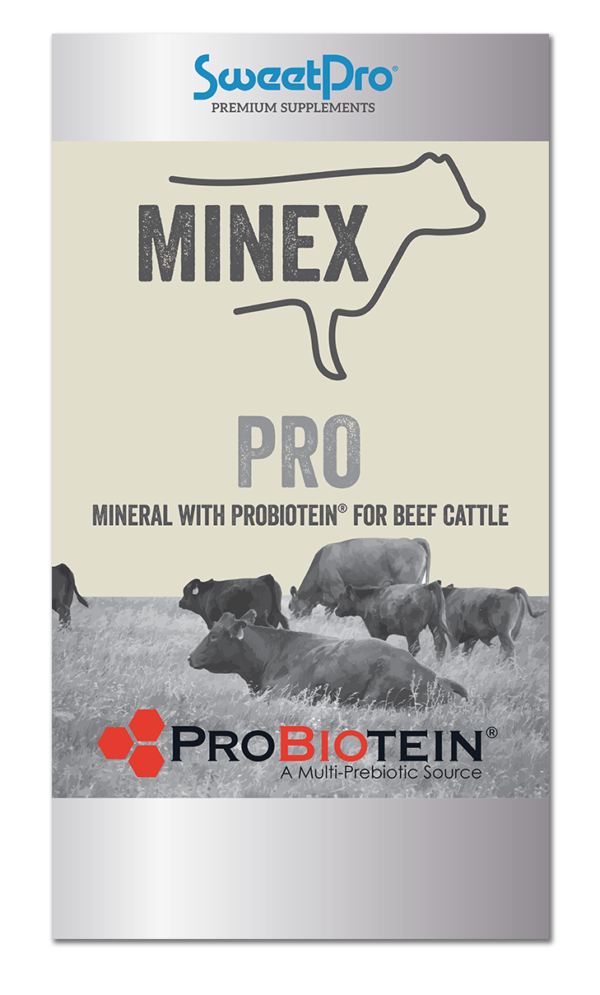 MINEX Loose Mineral