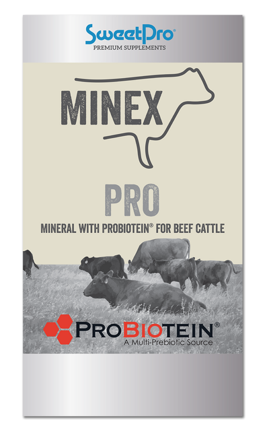 MINEX PRO